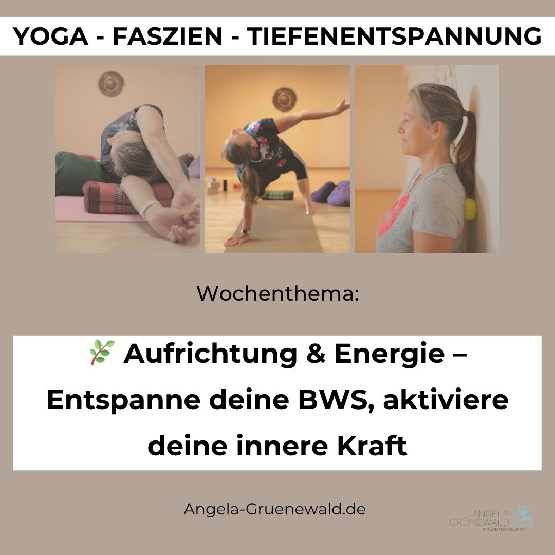 BWS & Nebennieren