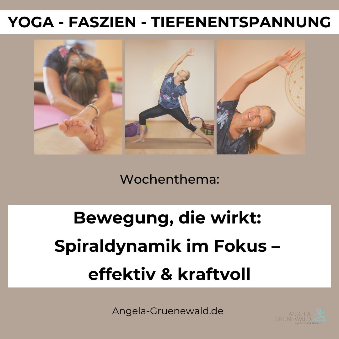 Spiraldynamik Nürnberg