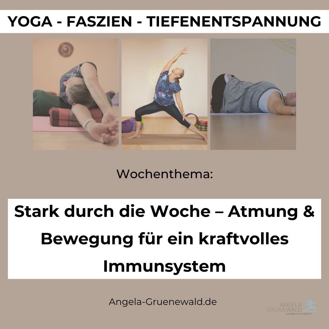 Yoga Immunsystem